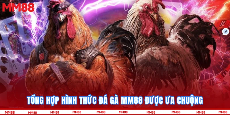 Tổng hợp hình thức Đá gà MM88 được ưa chuộng