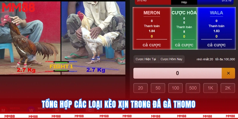 Tổng hợp các loại kèo xịn trong Đá gà Thomo