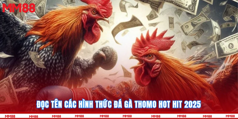 Đọc tên các hình thức Đá gà Thomo hot hit 2025