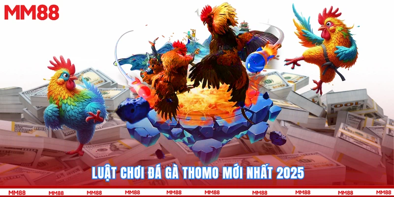 Luật chơi Đá gà Thomo mới nhất 2025